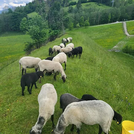 Bauernhof - Beim Zefferer Kwatera prywatna Schladming